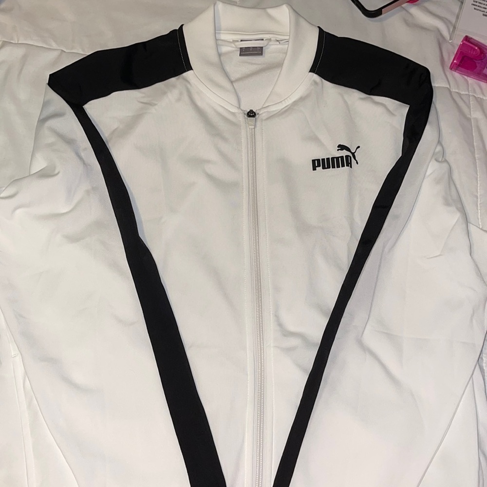 Puma - Picture 1 of 3